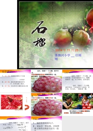 苏教版三年级上册微型课《石榴》PPT课件