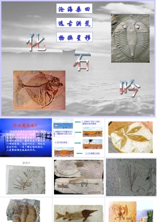 化石吟课件 (3)