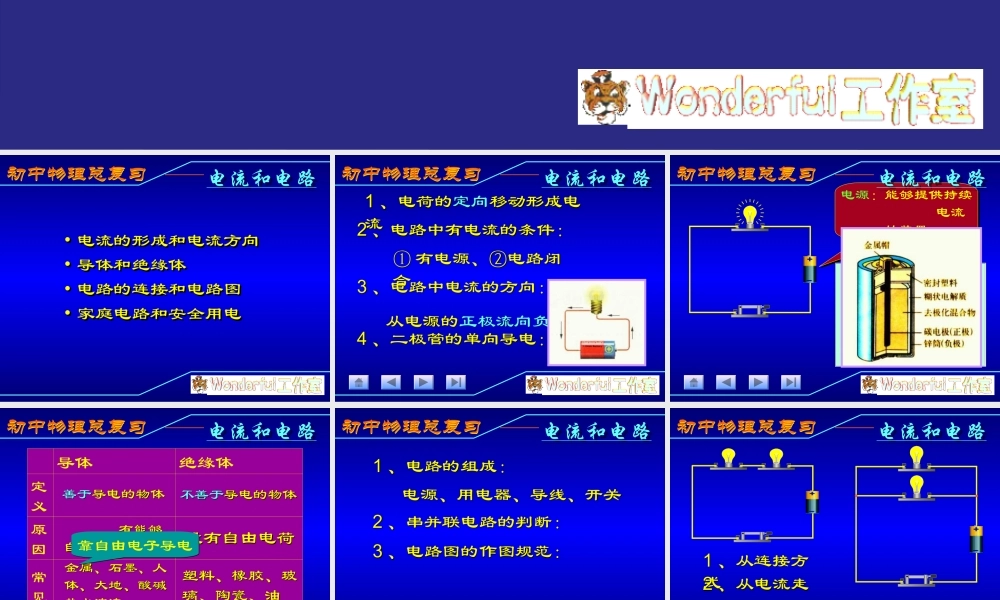 初中物理总复习电流和电路