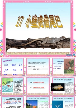 小壁虎借尾巴  (2)