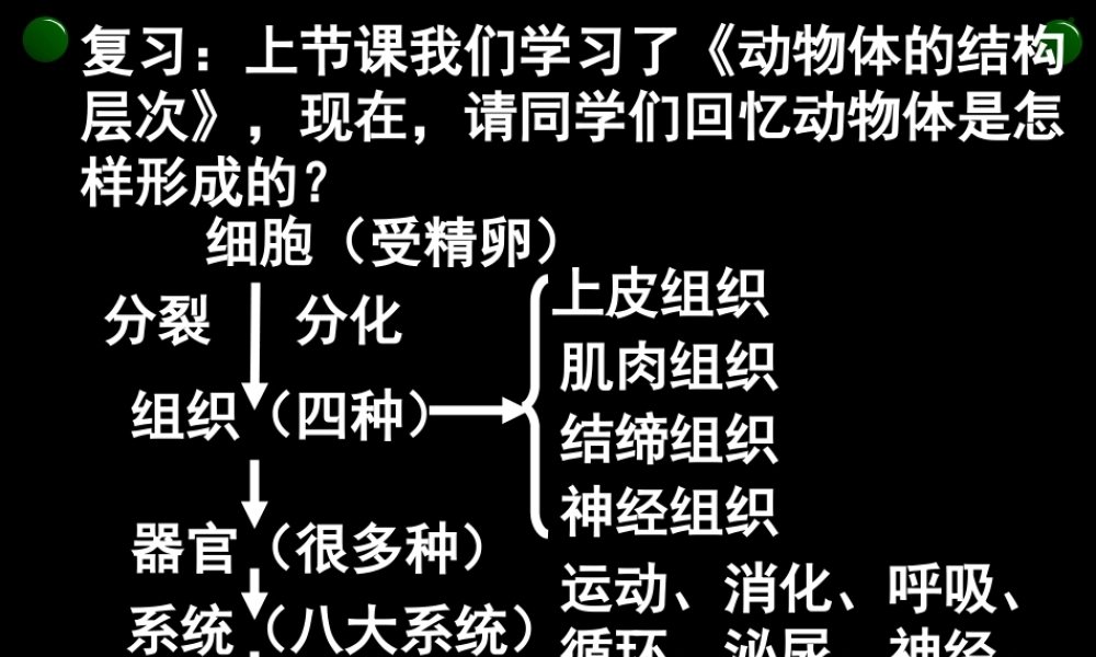 第三节植物体的结构层次