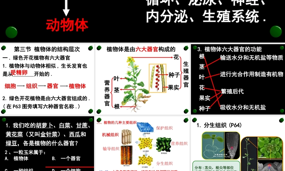 第三节植物体的结构层次