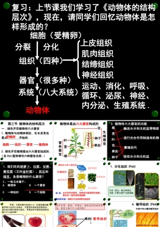 第三节植物体的结构层次