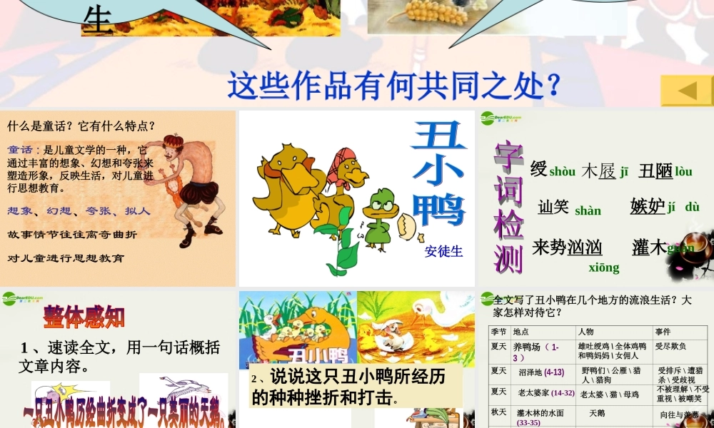七年级语文下册_丑小鸭课件_人教新课标版