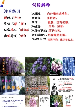 2014七（上）16紫藤萝瀑布