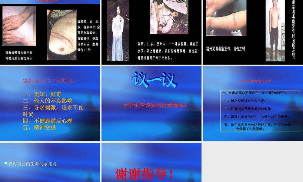 六年级思品珍爱生命拒绝毒品