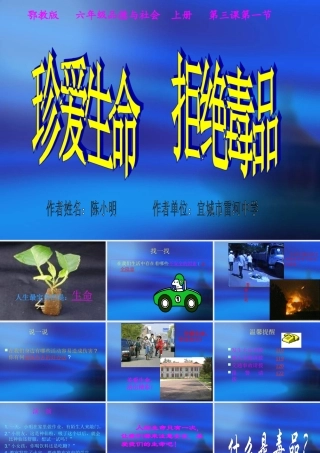 六年级思品珍爱生命拒绝毒品
