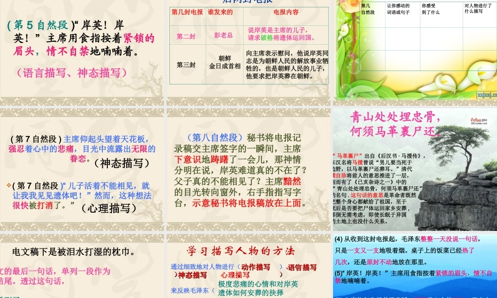 青山处处埋忠骨 