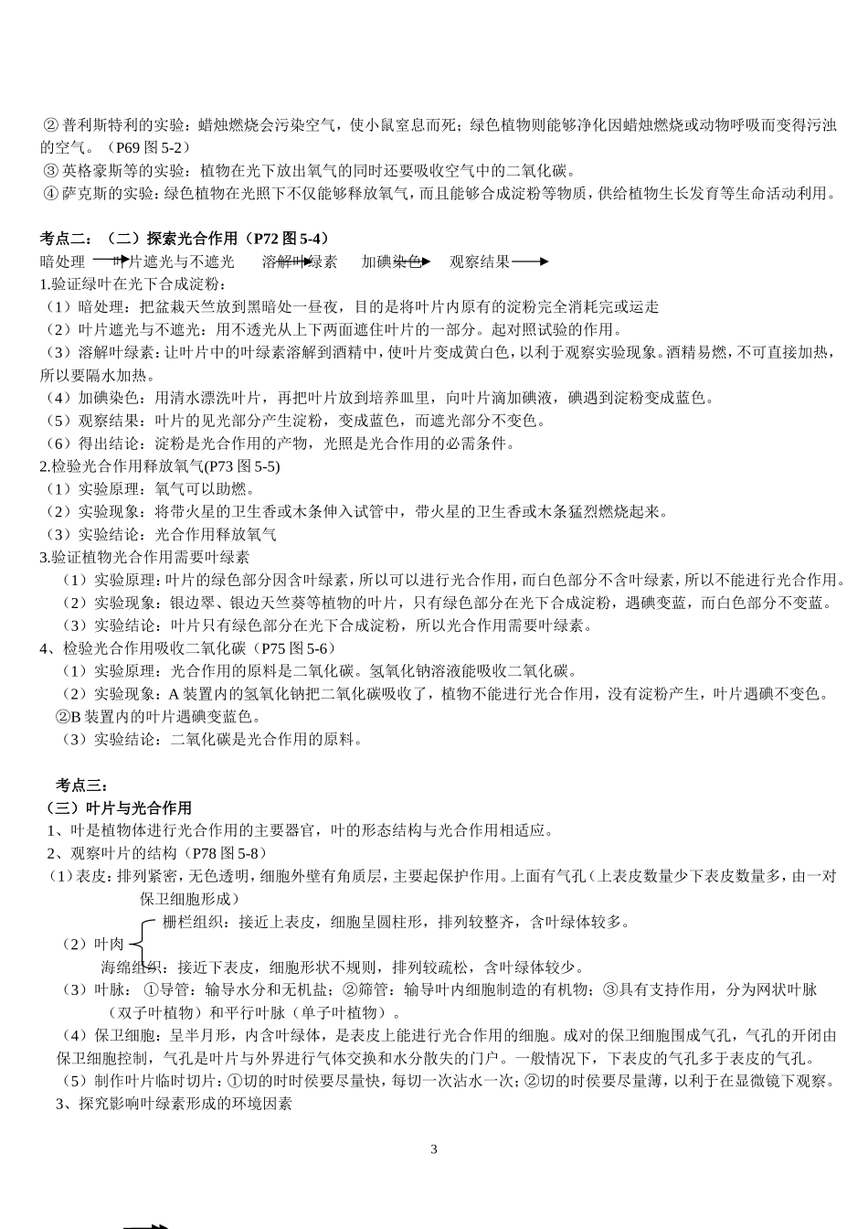 生物圈中的绿色植物（一）_第3页