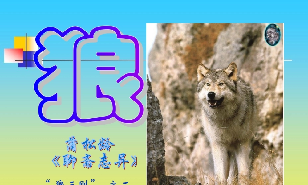 《狼》PPT课件