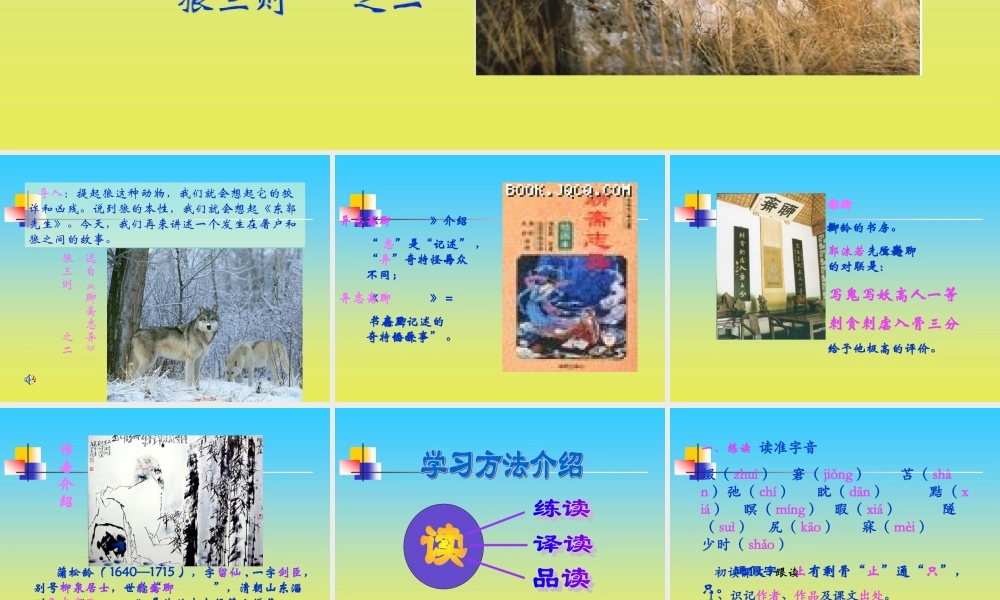 《狼》PPT课件