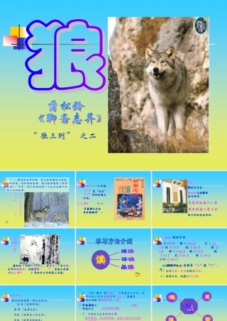 《狼》PPT课件
