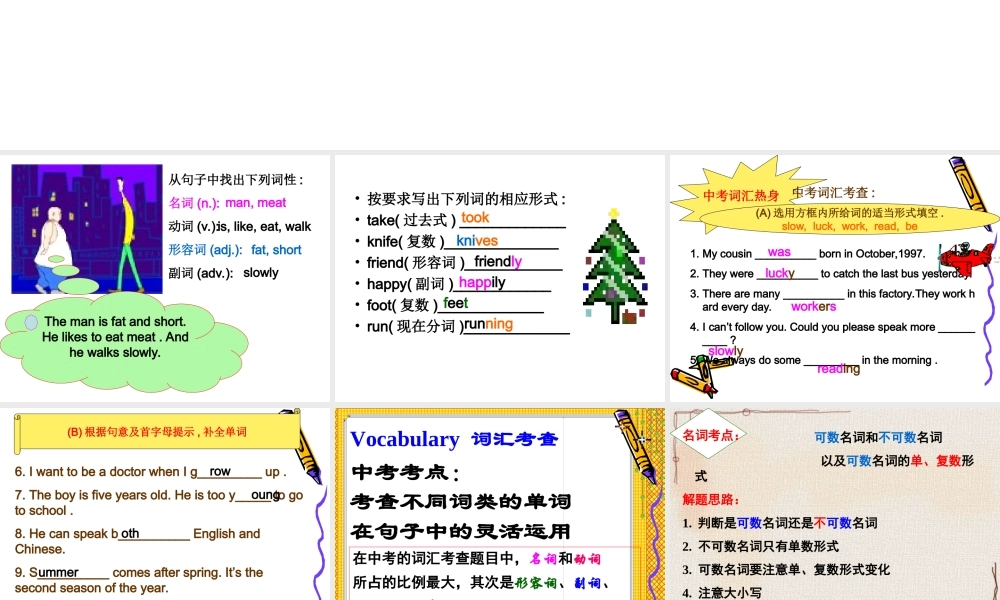 词汇专项复习修