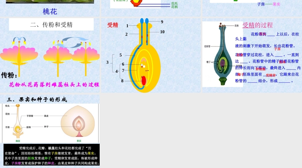 七年级生物_开花和结果