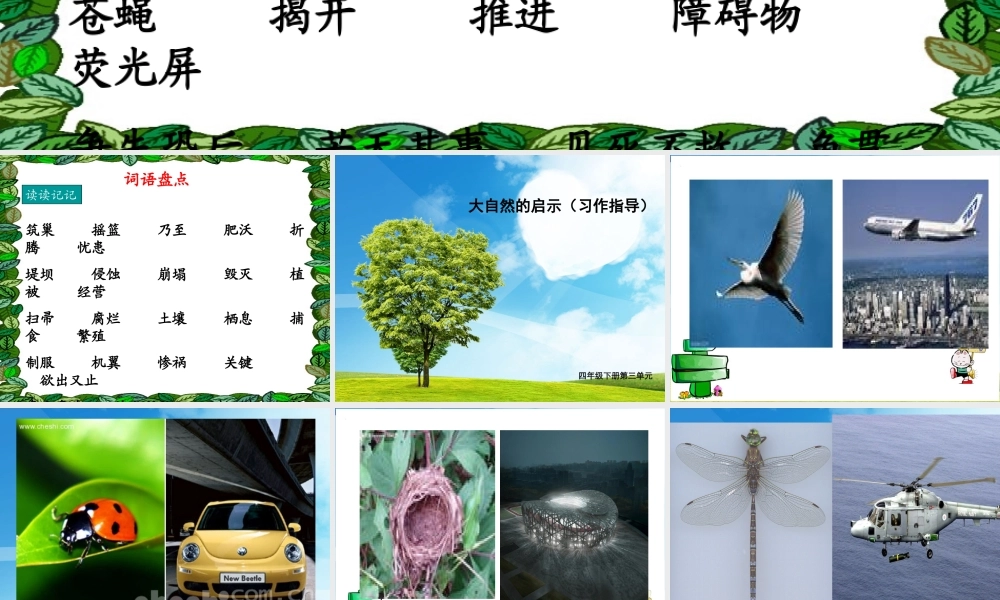 小学语文第八册语文园地三课件