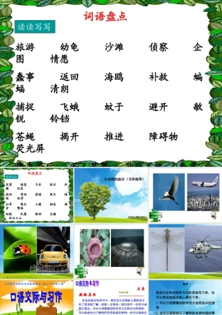 小学语文第八册语文园地三课件