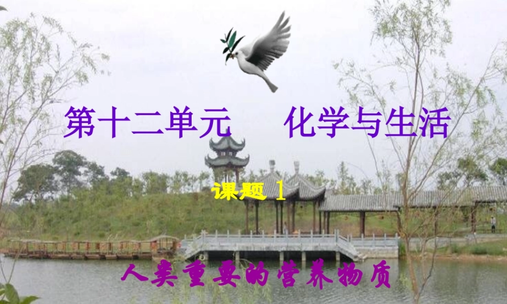 人类重要的营养物质2