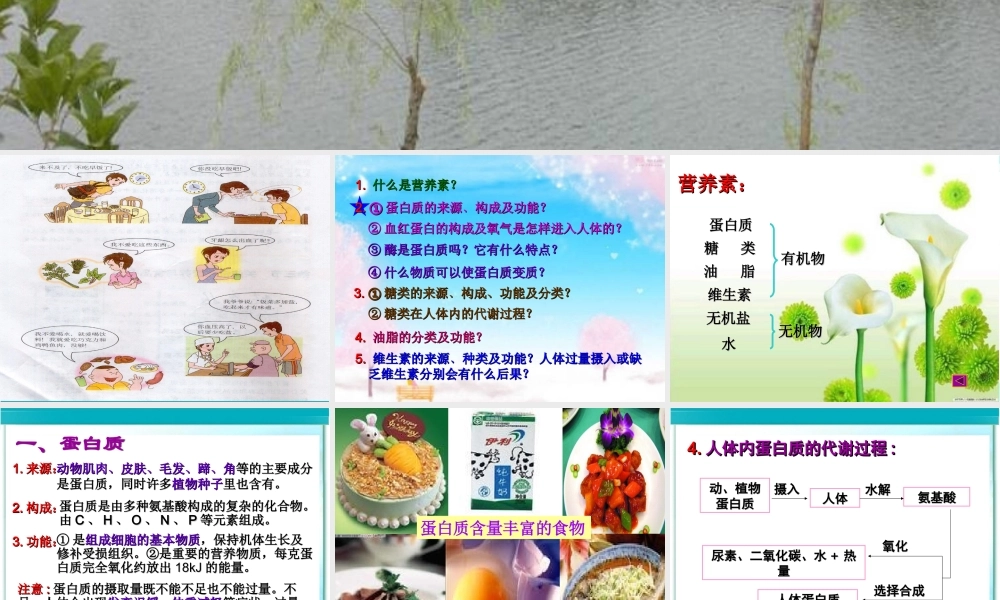 人类重要的营养物质2