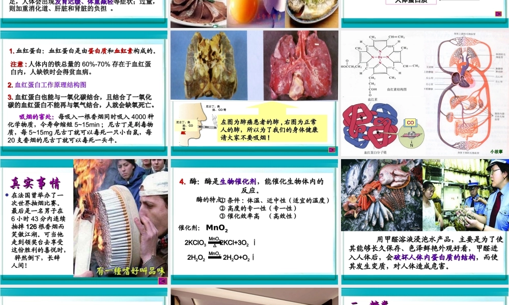 人类重要的营养物质2