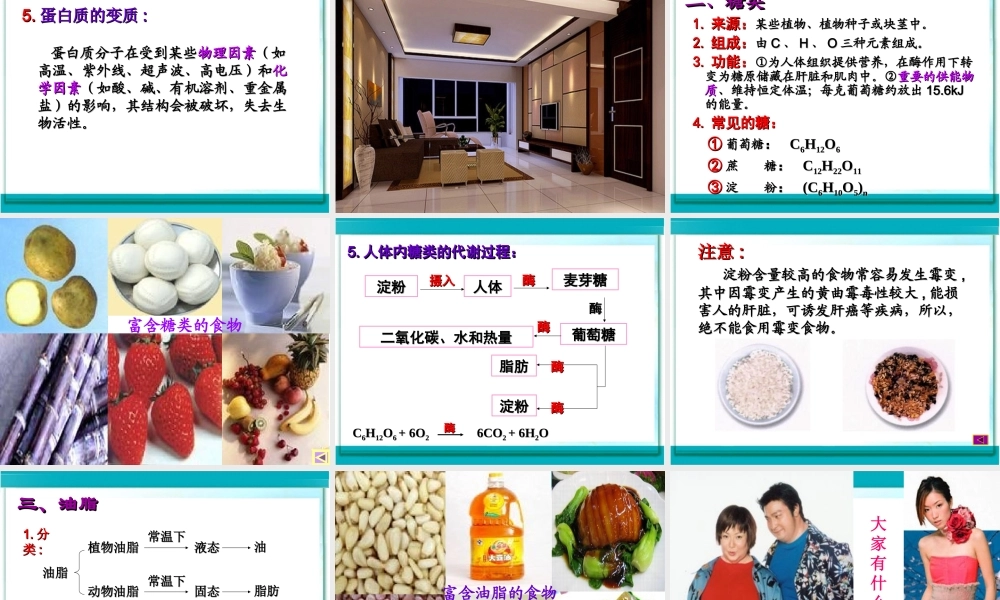 人类重要的营养物质2