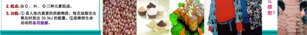 人类重要的营养物质2