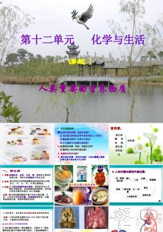 人类重要的营养物质2