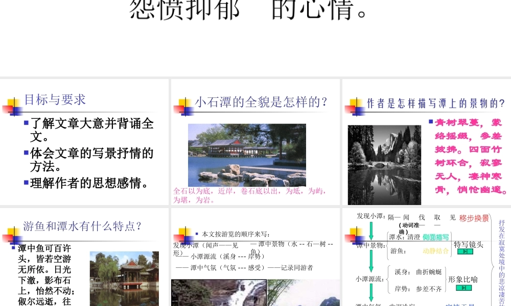 八年级语文小石潭记2
