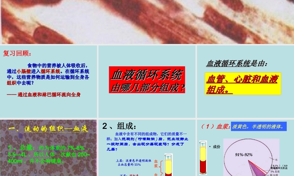 体内物质的运输