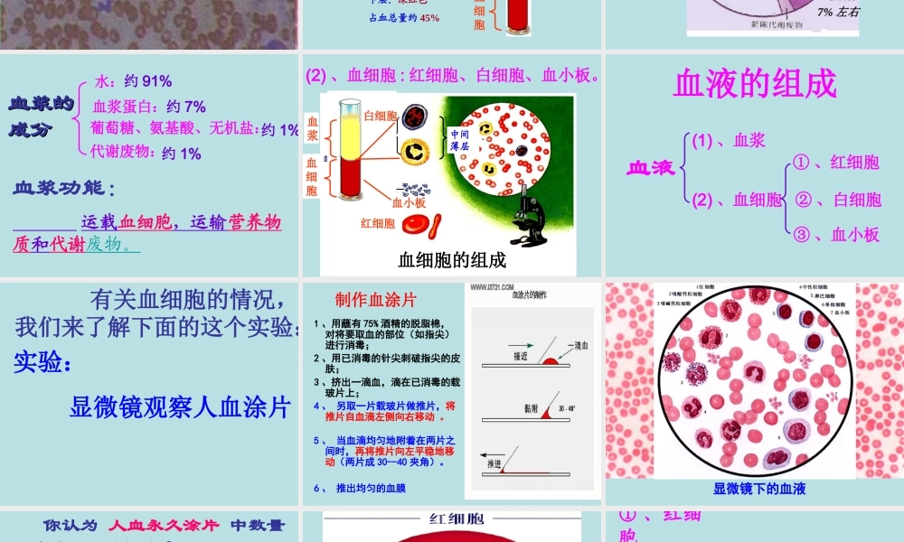 体内物质的运输