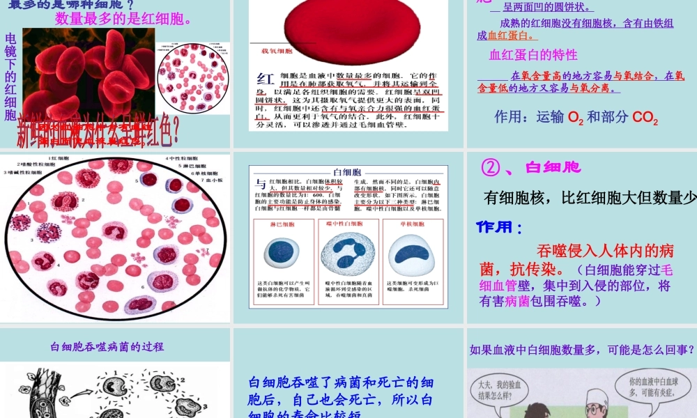 体内物质的运输