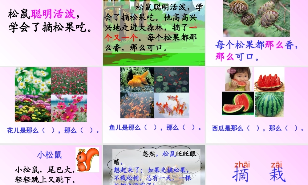 松鼠和松果第二课时
