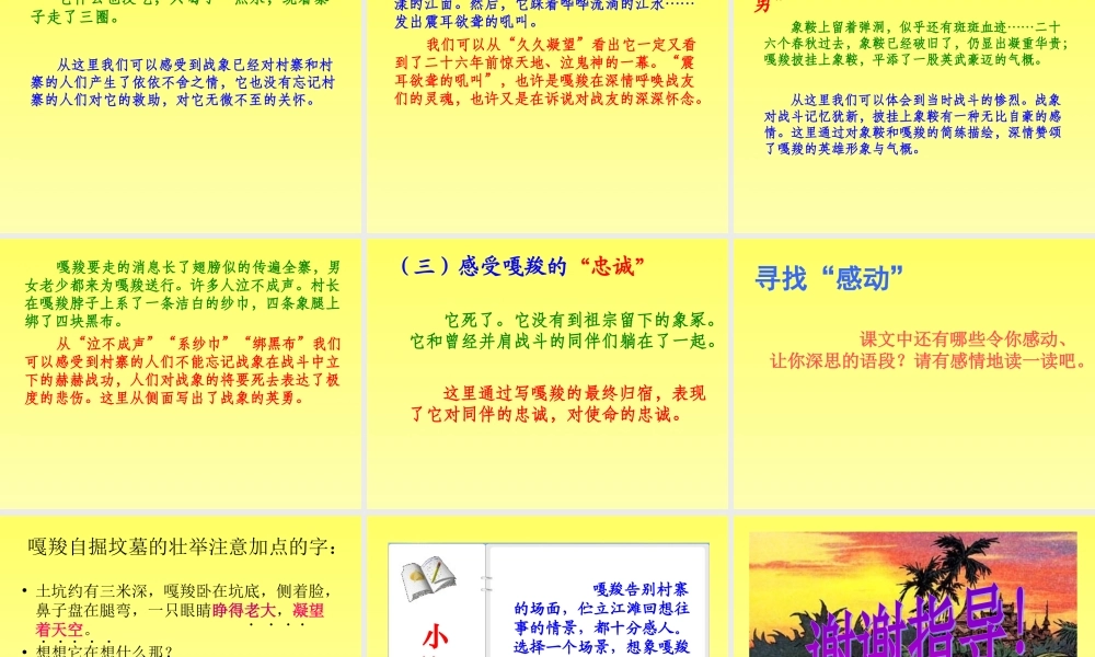 沙河中学_23_最后一头战象_课件