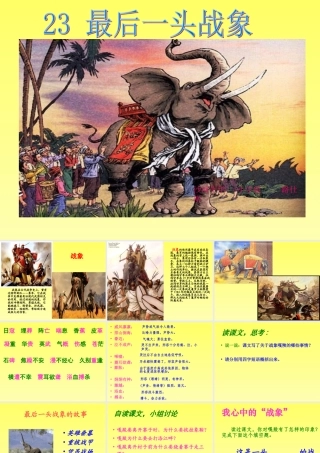 沙河中学_23_最后一头战象_课件