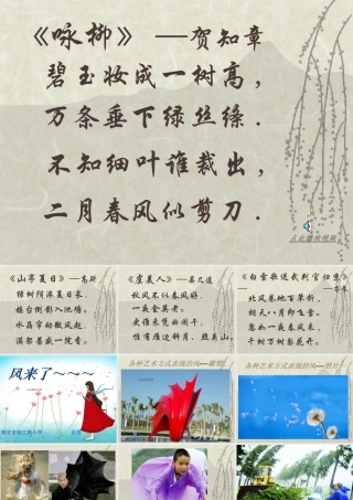 古诗两首咏柳PPT课件三年级语文下册