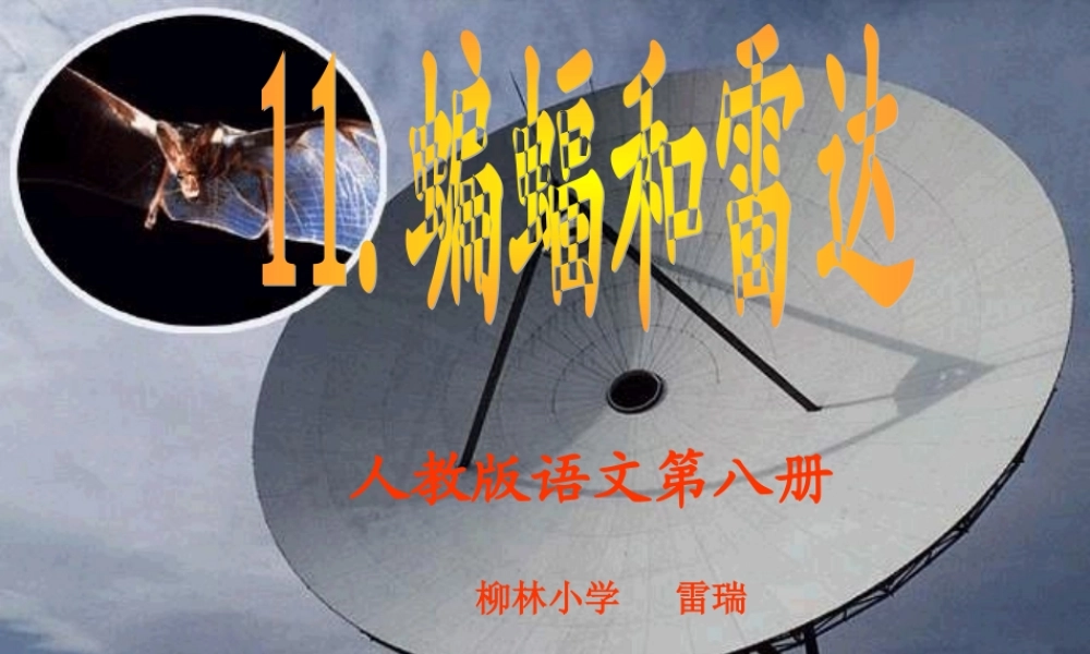 蝙蝠和雷达——雷瑞