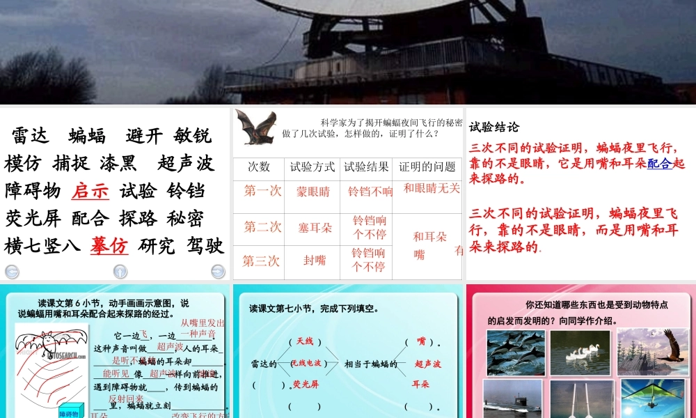 蝙蝠和雷达——雷瑞