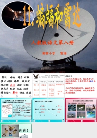 蝙蝠和雷达——雷瑞