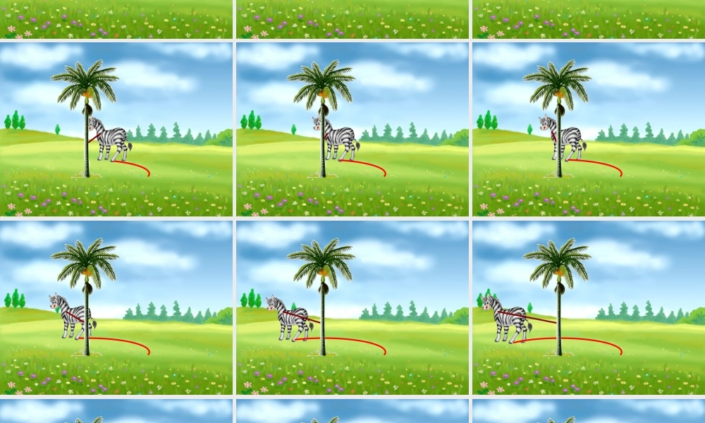 人教版新课标数学六年级上册《圆的面积》课件2