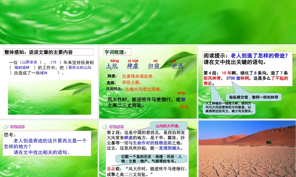 《青山不老》