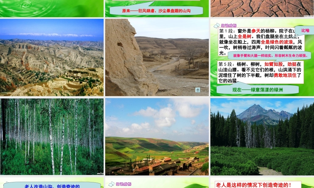 《青山不老》