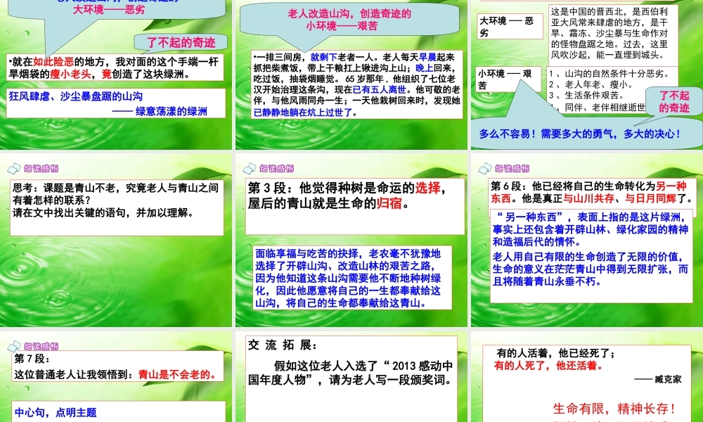 《青山不老》