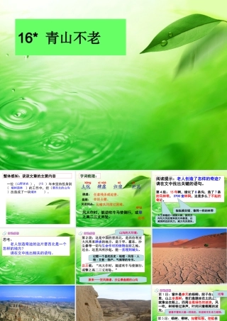 《青山不老》