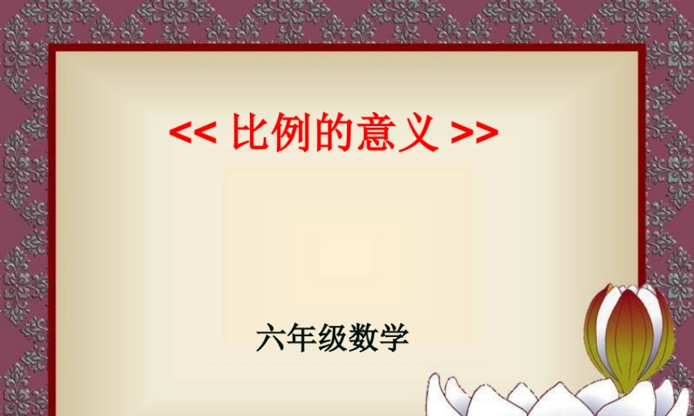 比的意义、基本性质