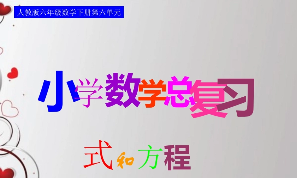 人教版六年级数学下册第六单元第八课时_式和方程—用字母表示数