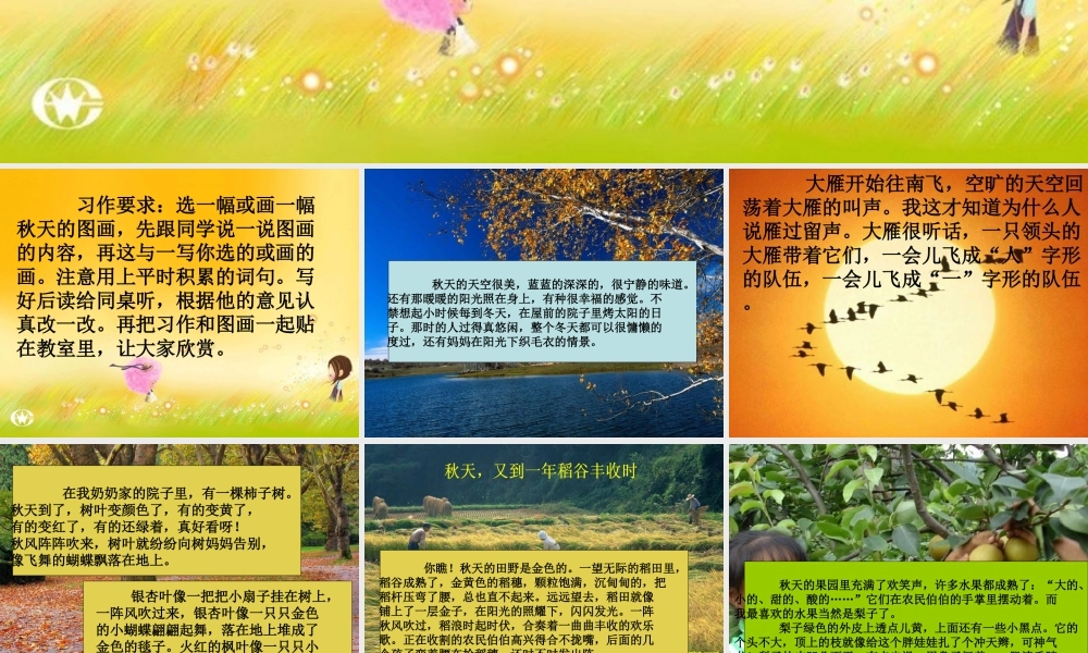 《秋天的图画》习作3