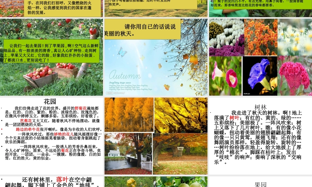 《秋天的图画》习作3