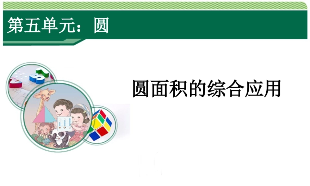 圆面积的综合应用