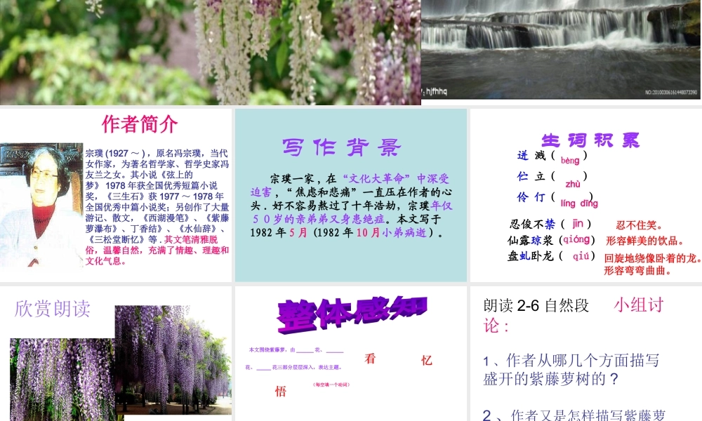 紫藤萝瀑布PPT (2)