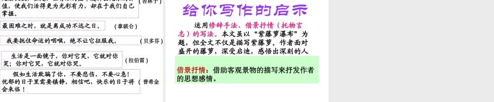 紫藤萝瀑布PPT (2)