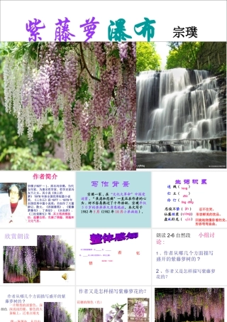 紫藤萝瀑布PPT (2)